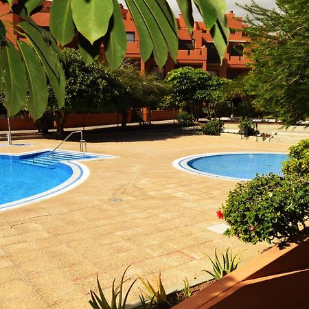 Alquilaencanarias El Medano Sotavento, Great Terrace And Beach El Médano Exterior foto